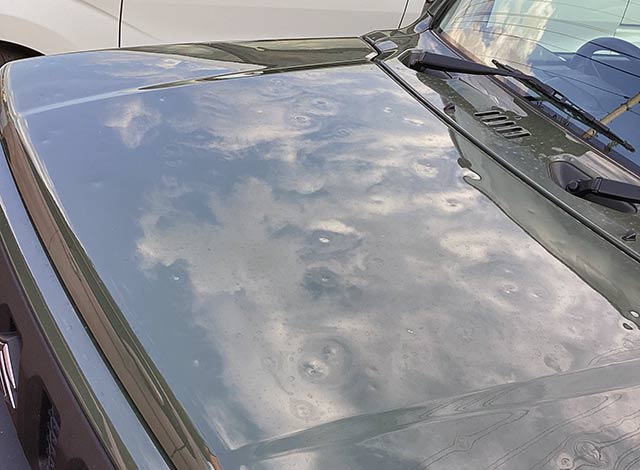 ヒョウ害(雹害)